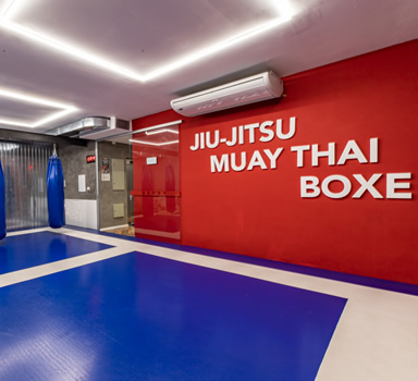 Artes Marciais